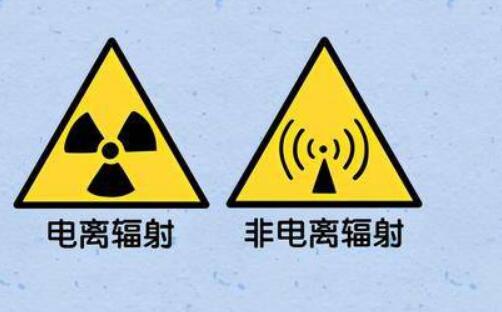 沙棘医用十大功效作用 沙棘在医学上的十大功效